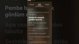 Pembe Mezarlık  Speed Up music pembe pembemezarlık lyrics viral [upl. by Rowena670]