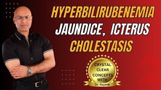 Jaundice vs Hyperbilirubinemia vs Icterus vs Cholestasis 🩺 [upl. by Eart]