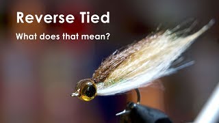 Reverse Tied Minnow  UNDERWATER FOOTAGE  McFly Angler Fly Tying Tutorials [upl. by Ardnuhsed]