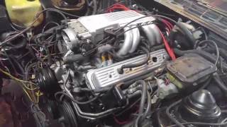 87 Trans Am Tuned Port Injection first fire on rebuild [upl. by Modesta]