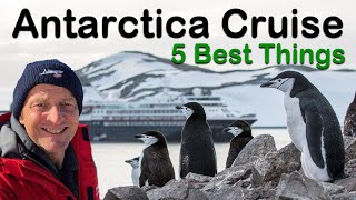 The 5 Best And Unexpected Things About An Antarctica Cruise [upl. by Rainer609]