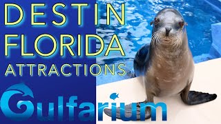 Visiting the Gulfarium in Destin Florida  Full Tour [upl. by Rustin]