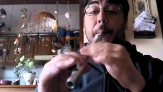 Drowsy Maggie Reel  Tin Whistle Clover Flutes [upl. by Hako]