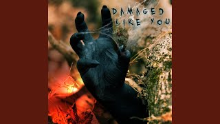 Damaged Like You [upl. by Canotas]