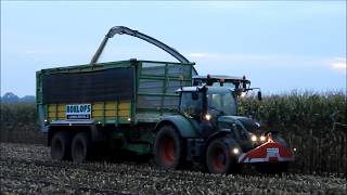 Mais hakselen 2017 Roelofs Lemelerveld Claas jaguar 940 2x Fendt 716 en JD [upl. by Einwahs664]