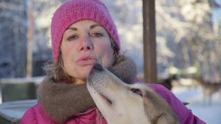 Mushing Explained What Makes Dogs and Mushers Great Partners [upl. by Lleval]