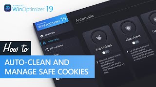 Ashampoo WinOptimizer 19  AutoClean and manage save cookies [upl. by Scarito474]