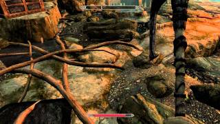 Skyrim Bleak Falls Barrow Temple Walkthrough [upl. by Stefanie]