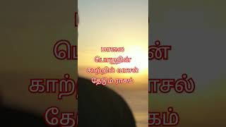 maalayil yaro manathodu pesa whatsapp statusmaalayil yaaro song lyrics in tamilsorts tamil [upl. by Onitselec]