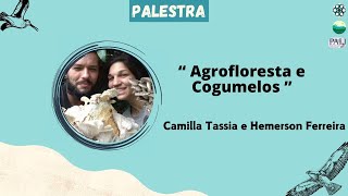 Palestra 12 Agrofloresta e Cogumelos [upl. by Pavier]