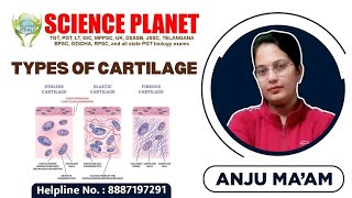 CARTILAGE II SPECIALIZED CONNECTIVE TISSUE II BY ANJU MAM II SCIENCE PLANET II [upl. by Kloman572]