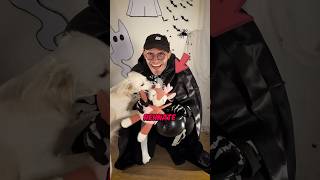 Ich habe das LIEBLINGSSPIELZEUG von meinem Hund entführt👻🙀 vlog hund halloween2024 [upl. by Ymmat]