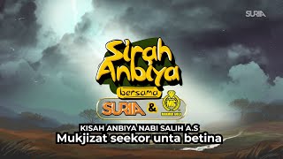 Nabi Salih AS  Mukjizat Seekor Unta Betina [upl. by Yarehs]