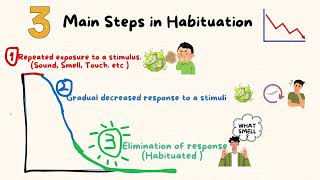 Habituation mini lecture [upl. by Aronal]