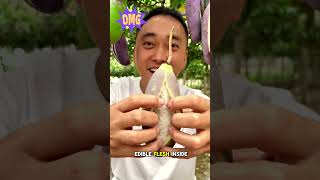 Akebia Quinata fruit Chocolate vine shorts youtubeshorts fruit [upl. by Silvers]