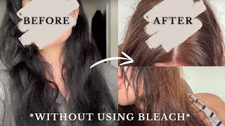 Removing Permanent Black Box Dye WITHOUT BLEACH at Home DIY Colour Remover REVIEW [upl. by Alrick]