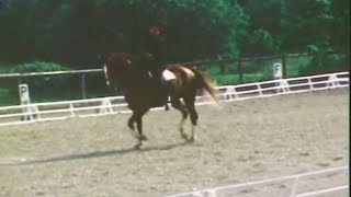 PLR  Patrick LE ROLLAND cavalier de Dressage en selle sur Débarras  1978 [upl. by Noroj750]