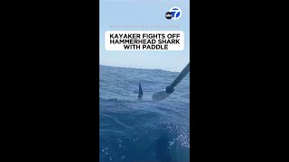 Kayaker fights off shark with paddle 😱🦈 [upl. by Yclek]