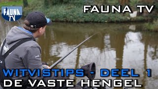 Fauna TV  Witvistips deel 1 vaste hengel [upl. by Adnohsel]