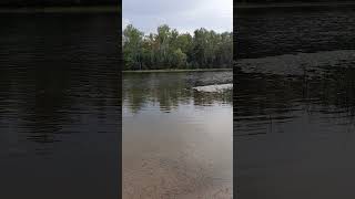 Serene view of the Androscoggin River from Steamers Diamond Boat Launch NH [upl. by Riabuz]