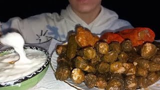 ASMR DOLMA  YOĞURT MUKBANG [upl. by Hanus]