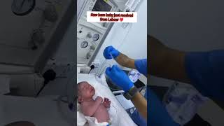 New born baby just recieving from Labour Room with low oxygen❤️🫶 cutebaby viralshorts [upl. by Hubert]