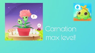 Plant nanny 2  Carnation max level [upl. by Grewitz]