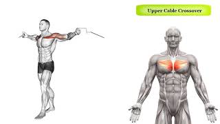 Cable Crossover  Variations and Muscles Worked [upl. by Range423]