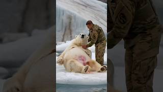 A soldier rescues a trapped pregnant polar bear enabling her to safely give birth polarbear [upl. by Magas274]