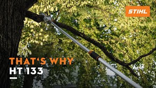 STIHL HT 133 pole pruner  Light weight amp high power  Thats why [upl. by Eylsel452]