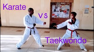 Karate vs Taekwondo  Sparring [upl. by Grodin71]