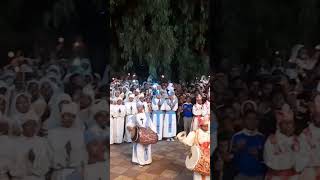 zemari mulkenkebede ethiopia ortodoxo tewahido mezmur shortvideo [upl. by Munafo]