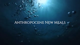 Anthropocene New Meals [upl. by Rramal]