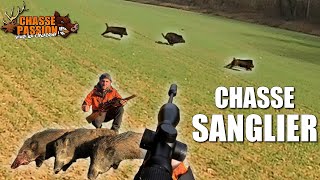 CHASSE DU SANGLIER EN BATTUE  Triplé de sangliers au poste  Une saison de folie [upl. by Lindgren]