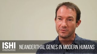 Neanderthal Genes in Modern Humans [upl. by Cypro]