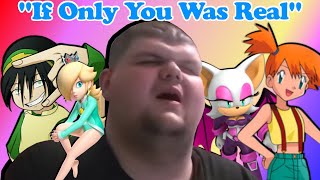 The Most Pathetic Video on YouTube TheSonicSegaGamer [upl. by Nnyleuqaj]