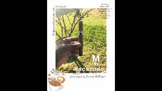 Coffee Cigars for fall time M by Macanudo [upl. by Aneehsram]