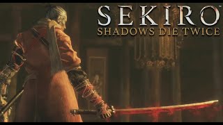 Sekiro  defeating CORRUPTED MONK in 1st try and going to DIVINE REALM [upl. by Anahsohs573]