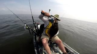 Kayak Fishing for FlukeFlounder [upl. by Eran]