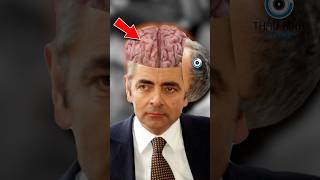 MR BEAN CÓ THỰC SỰ NGỐC  😨 Bạn Biết Không facts amzingfacts thaukinhtrithuc [upl. by Tallula60]