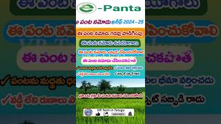 How to register AP epanta ecrop in Telugu 2024  ecrop  epanta epanta ecrop shots ap [upl. by Bendicta]