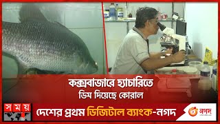 সমুদ্রের কোরাল এবার হবে চাষ  Coxs Bazar News  Koral Fish  Fisheries in Bangladesh [upl. by Blight353]