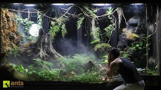 My Baby Crocodile is Hunting Land Creatures in My Giant Rainforest Vivarium [upl. by Dwight]