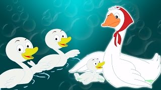 Fünf kleine Enten  Karikatur für Kinder  Beliebt Kinderlied Five Little Ducks [upl. by Aciretal235]