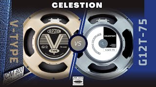 CELESTION G12T75 VS CELESTION VTYPE  Speaker Comparison  Mix  Marshall 1936 CAB [upl. by Heather542]