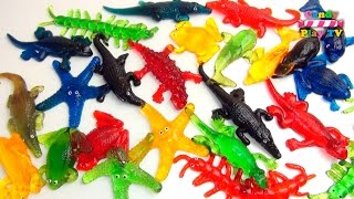 Learn Colours With Glitter Aquatic Animals  Fun Learning Contest  Learn Colours with Toys [upl. by Ellatsirhc]