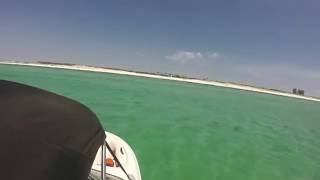 Sharks Gulf of Mexico  Destin FL  GoPro 08252016 [upl. by Silliw]