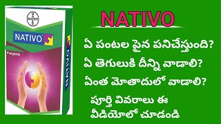 Best fungicide Bayer Nativo full specifications In teluguNativo fungicide full informationagri [upl. by Sliwa]