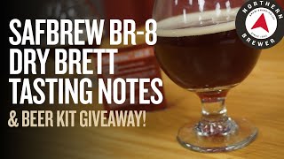 SafBrew™ BR8 Dry Brett Tasting Notes [upl. by Alvin]