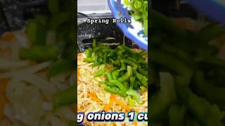 Spring Rolls Recipe [upl. by Anhavas141]